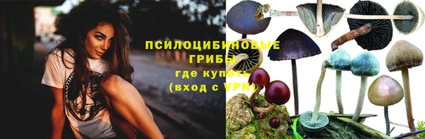 MDMA Куртамыш